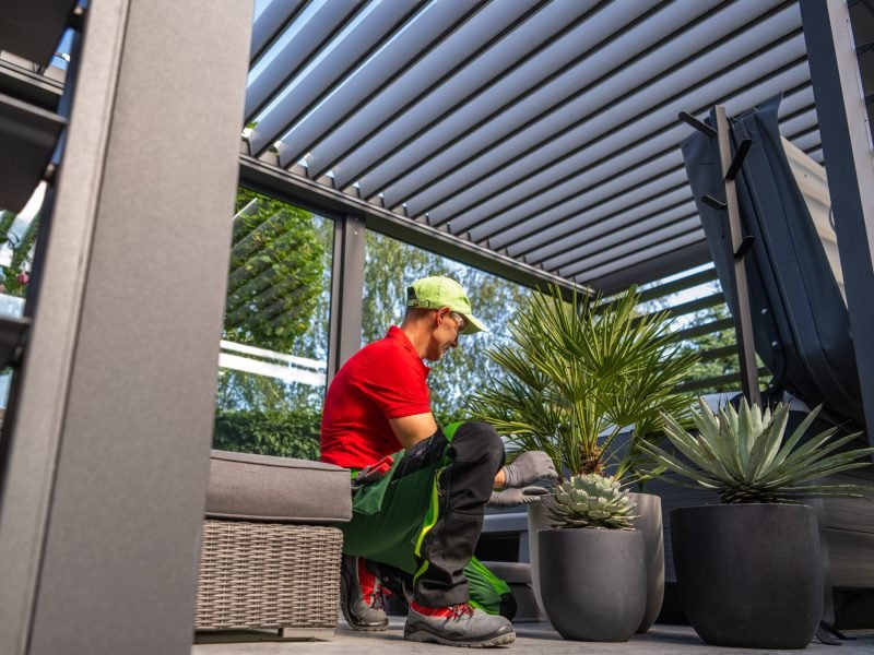 A gardener in a red shirt and cap cares for potted plants on a stylish patio pergola surrounded by greenery.